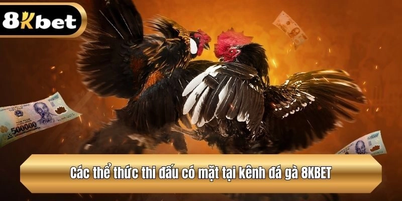 Các thể thức thi đấu có mặt tại kênh đá gà 8KBET